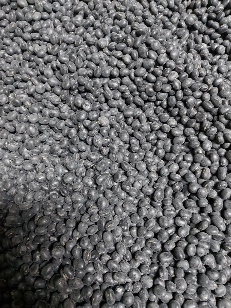 뭘이런걸다님의 장터 판매 상품 [서리태속파랑] 첨부 사진