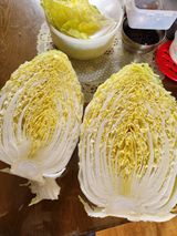 팜모닝 배추·영농일지 게시글 이미지