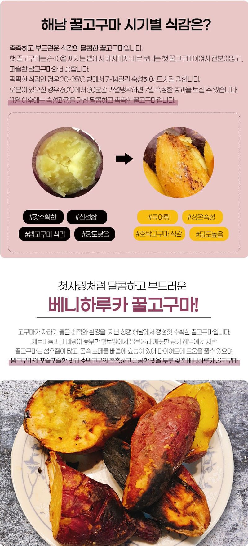 금호농장님의 장터 판매 상품 [금호농장 해남 친환경 무농약 세척 꿀고구마 베니하루카 3kg 5kg 10kg 판매합니다.] 첨부 사진