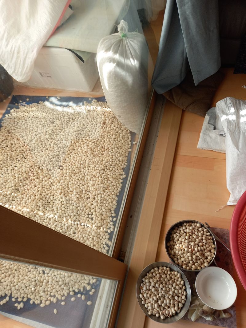 땅땅님의 장터 판매 상품 [은행] 첨부 사진