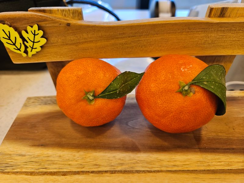 선물차롱님의 장터 판매 상품 [😍고당도 꼬마귤🥰루비향 3kg(산지직송)] 첨부 사진