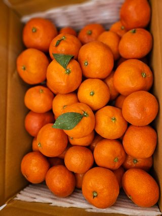 선물차롱님의 작성글 사진