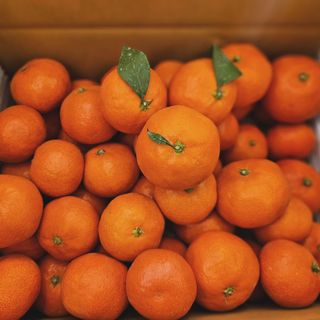 선물차롱님의 작성글 사진