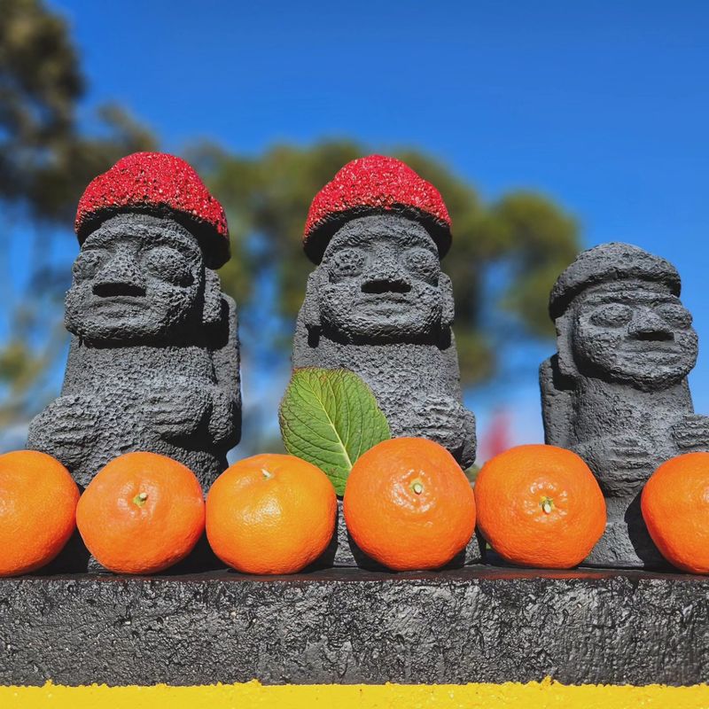 선물차롱님의 장터 판매 상품 [😍고당도 꼬마귤🥰루비향 3kg(산지직송)] 첨부 사진