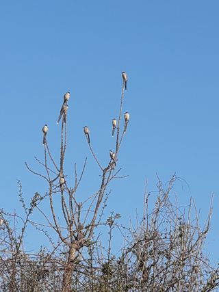 새리님의 자유주제 · 자유게시판 작성글 사진