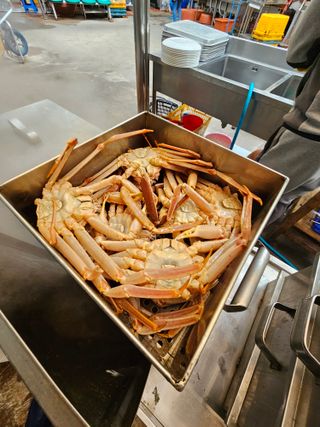 노가네수산님의 우리동네 · 동네정보 작성글 사진