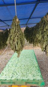 팜모닝 겨울 대비 어떻게 하셨나요·참여글 게시글 이미지