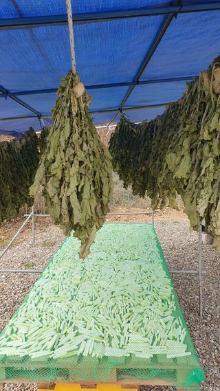 이현순님의 겨울 대비 어떻게 하셨나요 · 참여글 작성글 사진