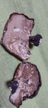 팜모닝 자유주제·자유게시판 게시글 이미지