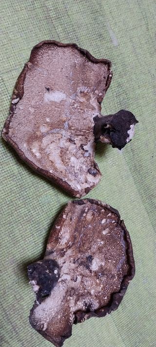 김동주님의 자유주제 · 자유게시판 작성글 사진