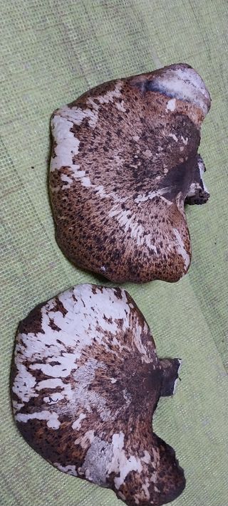 김동주님의 자유주제 · 자유게시판 작성글 사진