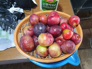 마평 농원님의 농사, 무엇이든 물어보세요! · 참여글 작성글 사진