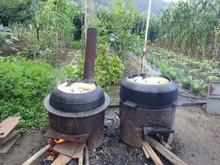 마평 농원님의 농사, 무엇이든 물어보세요! · 참여글 작성글 사진