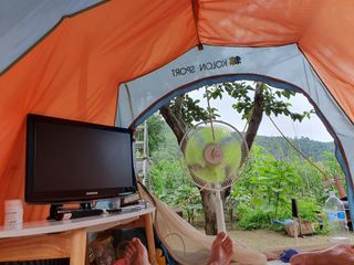 마평 농원님의 농사, 무엇이든 물어보세요! · 참여글 작성글 사진