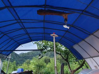 마평 농원님의 농사, 무엇이든 물어보세요! · 참여글 작성글 사진