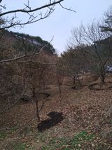 팜모닝 자유주제·자유게시판 게시글 이미지