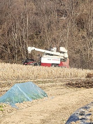 행운농부님의 콩 · 자유게시판 작성글 사진