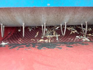 괴산 순정농부님의 작성글 사진