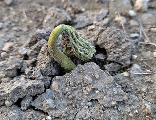 모든 보일러 설비님의 자유주제 · 자유게시판 작성글 사진