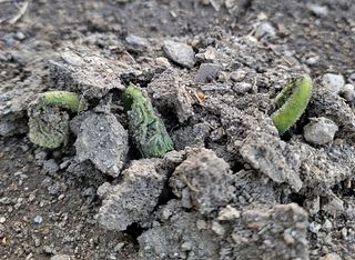 모든 보일러 설비님의 자유주제 · 자유게시판 작성글 사진