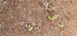 모든 보일러 설비님의 자유주제 · 자유게시판 작성글 사진