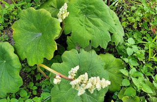 모든 보일러 설비님의 자유주제 · 자유게시판 작성글 사진