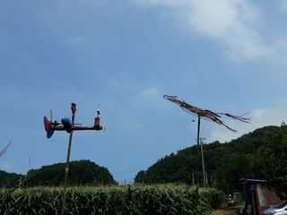 마평 농원님의 농사, 무엇이든 물어보세요! · 참여글 작성글 사진