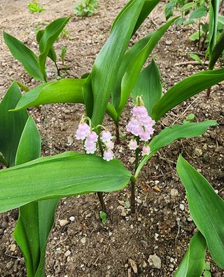 모든 보일러 설비님의 자유주제 · 자유게시판 작성글 사진