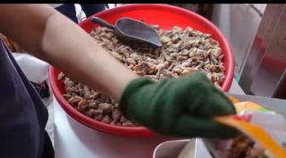 장팔현님의 호박 · 자유게시판 작성글 사진