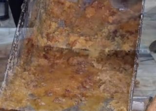 장팔현님의 호박 · 자유게시판 작성글 사진