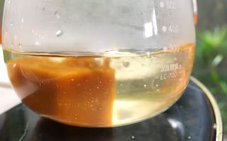 장팔현님의 호박 · 자유게시판 작성글 사진