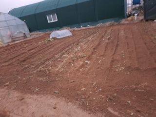 이종선님의 파 · 자유게시판 작성글 사진