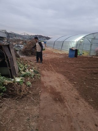 이종선님의 파 · 자유게시판 작성글 사진