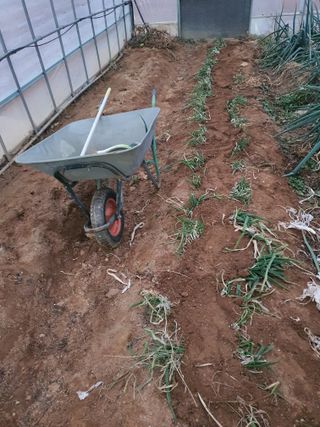 이종선님의 파 · 자유게시판 작성글 사진