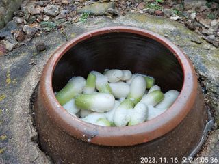 유병욱님의 기타작물 · 자유게시판 작성글 사진