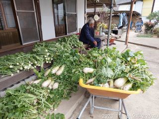 유병욱님의 기타작물 · 자유게시판 작성글 사진
