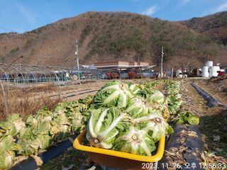 유병욱님의 기타작물 · 자유게시판 작성글 사진