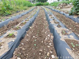 유병욱님의 기타작물 · 자유게시판 작성글 사진