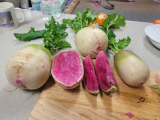 이원우님의 자유주제 · 자유게시판 작성글 사진