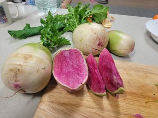 이원우님의 자유주제 · 자유게시판 작성글 사진