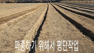 조병대님의 기타작물 · 자유게시판 작성글 사진