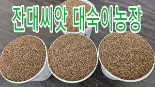조병대님의 기타작물 · 자유게시판 작성글 사진