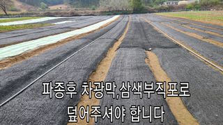 조병대님의 기타작물 · 자유게시판 작성글 사진