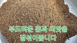 조병대님의 기타작물 · 자유게시판 작성글 사진