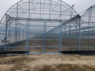 농업회사법인 진향님의 하우스정보 · 자유게시판 작성글 사진