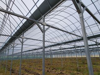 농업회사법인 진향님의 하우스정보 · 자유게시판 작성글 사진
