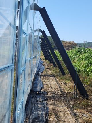 농업회사법인 진향님의 하우스정보 · 자유게시판 작성글 사진