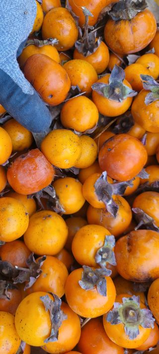 이동훈님의 겨울 대비 어떻게 하셨나요 · 참여글 작성글 사진