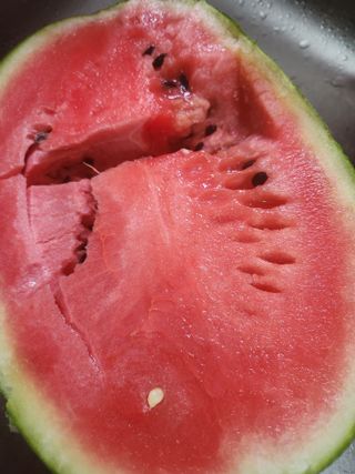 고영희님의 11월 내 작물 자랑하기 · 참여글 작성글 사진