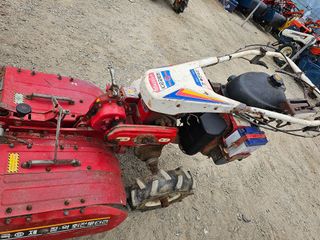 최도윤님의 작성글 사진